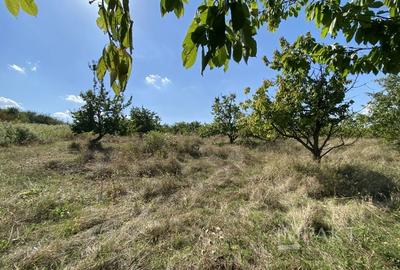 Teren 802 m2 Faget cu PUZ aprobat - 2