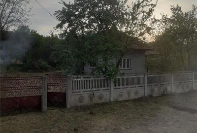 Casă cu 2 camere în Zătreni - 3