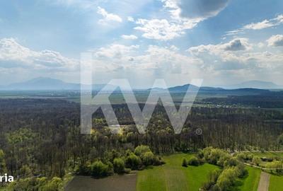 Spațiu comercial, în Lunca Calnicului - 14