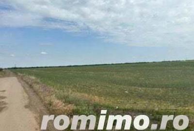 Cota 1/4 teren extravilan Gheraseni, jud. Buzau - R2070447 - 8