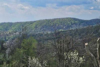 Spațiu comercial, în Buștenari - 2