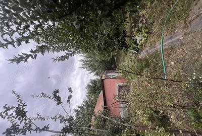 Casa de vanzare cartier Magurele Turnu Magurele - 3