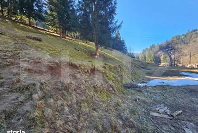 Teren de 2977 mp, în Scărișoara