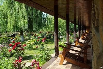 Casă cu 6 camere în Plopul - 8