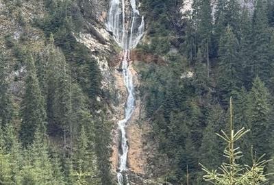 Teren Construcții intravilan de 2770 mp, în Est - 7