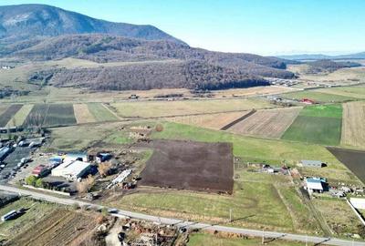 Teren Industrial cu P.U.Z. - 14