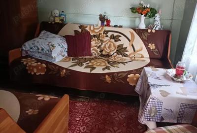 Casă cu 4 camere în Radu Negru - 4