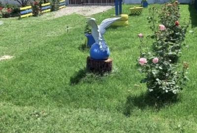 Casă cu 3 camere în Ograda - 6