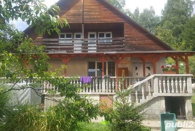 Casă cu Teren 2400 Mp în Cavnic - 1
