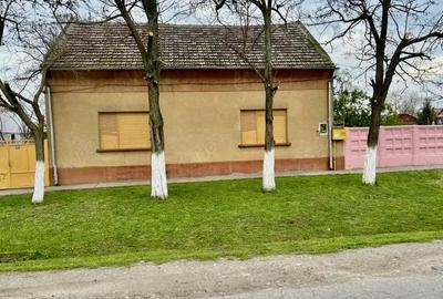 Vand casa in Periam str Visinului