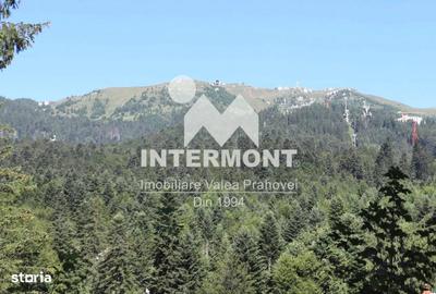 Spațiu comercial, în Central - 2