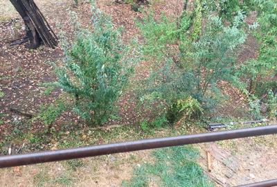 Casa spatioasa 500mp construit - 3