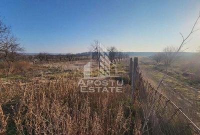 Teren de 3844 mp, în Pișchia - 2