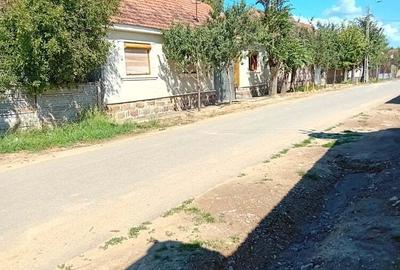 Casa de vanzare la tara,teren5000 mp plus o hala de 100 m p. - 2