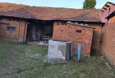 Se vinde in ?ibot Se vinde in ?ibot - 6