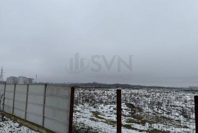 Teren Construcții intravilan de 43002 mp, în Timișoara - 13