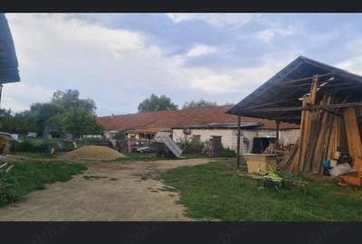 Spațiu comercial, de 1,000 mp, în Central - 3