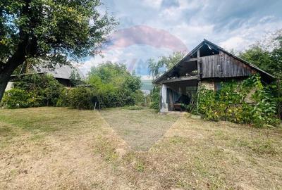 Casă Spațioasă cu teren Generos de 3416 mp în Tăuții Măgherăuș - 3