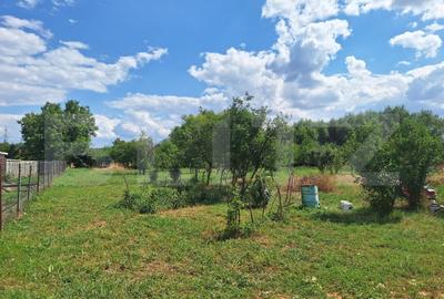 Casa cu teren intravilan, 4600 mp, investiitii/dezvoltare! - 4