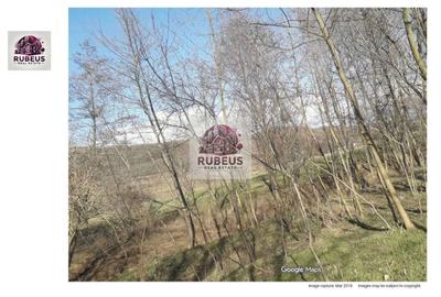 Spațiu comercial, în Cerneți - 3