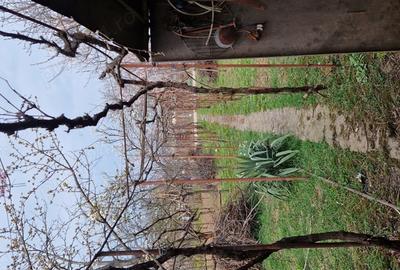 Vand casa Sannicolau Mic - 2