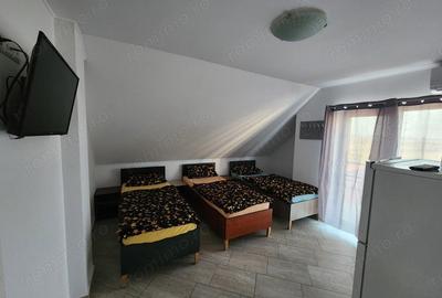 Casă cu 2 camere în Sânandrei - 2