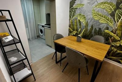 Garsonieră semidecomandată, mobilată în Bucureștii Noi - 4