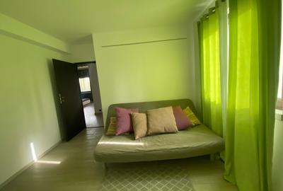 Casa individuala/unifamiliana Catelu 800m metrou Anghel Saligny - 49