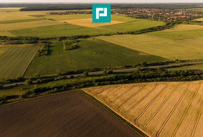Teren agricol extravilan de 42200 mp, în Secusigiu - 10