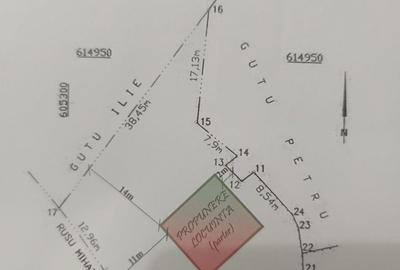 Casă cu Teren 1000 Mp în Central - 2