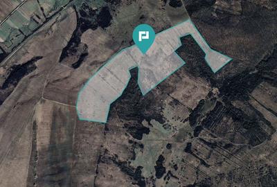 Teren arabil de 40 hectare in Seca?, Timi? - 3