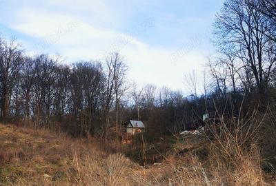 Teren Spitalul judetean pret redus 50% 16 euro mp 6000 mp - 7