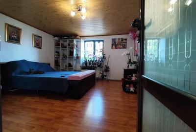 Casa P+1 400 mp teren Godeanu Carrefour Colosseum - 8