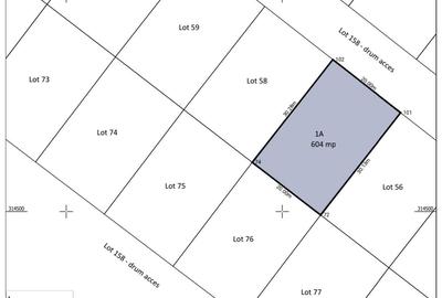 Teren Construcții intravilan de 529 mp, în Frumușani - 4