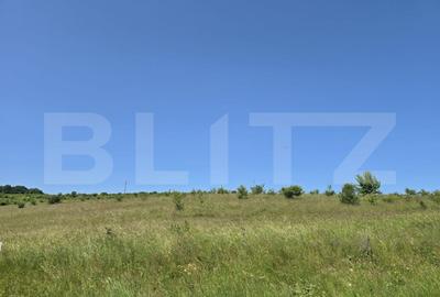 Teren intravilan construibil  in Salicea - 4