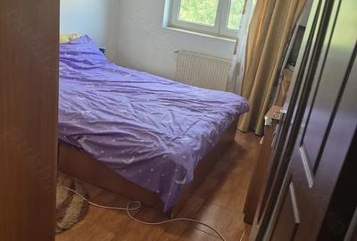 Apartament cu 3 camere decomandat, mobilat în Gorjului - 3