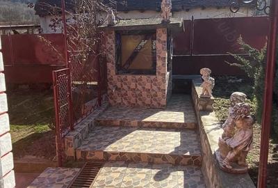 Casă cu 3 camere cu Teren 1100 Mp în Sarmizegetusa - 2