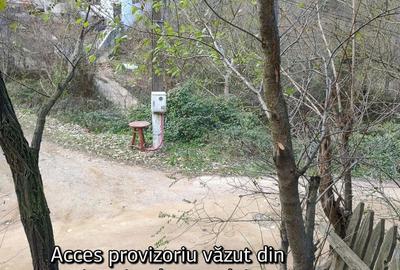 Teren în Pecinișca - 3