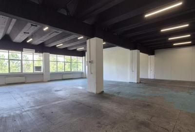 Spatiu Th. Pallady | Ozana | Depozitare-Productie 90mp 180mp - 3