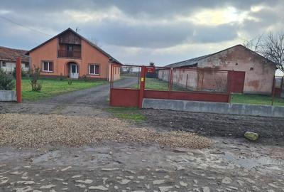 Proprietate mixta de vanzare in Nadlac - Casa moderna + hala/grajd + teren mare - 10