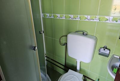 Casa de vacanta cu 6 camere + teren suprafata 7.384 mp, Bradet, Bihor - 19