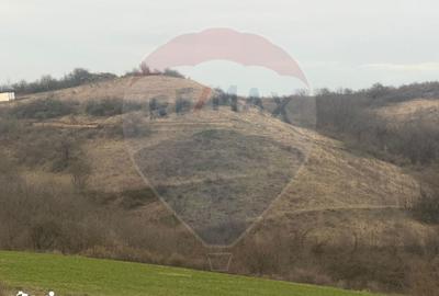 Teren de 18800 mp, în Vințu de Jos - 2