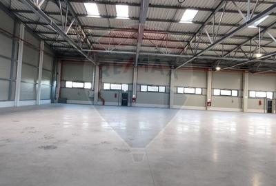 Spatiu industrial Clasa A - Otopeni Hala productie depozitare - 3