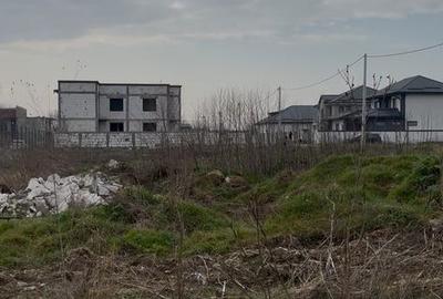 Teren de 5000 mp, în Podari - 4