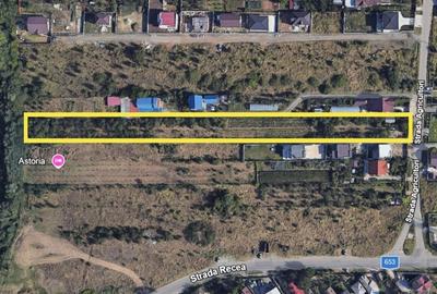 Teren de 5000 mp, în Nord - 8