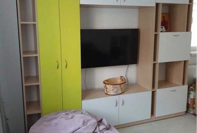 Apartament cu 2 camere decomandat, mobilat în Ozana - 6