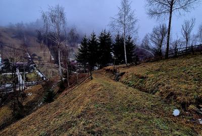 Teren intravilan Simon/Bran, 4318 mp , casuta intabulata, utilitati - 31