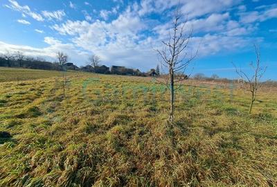 Casă individuală cu 3 camere cu Teren 2500 Mp în Poclușa de Barcău - 6