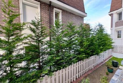 1600 Euro! Casa de lux, in Copou, 5 camere, 3 bai - 3
