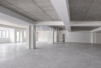 Spațiu comercial, de 550 mp, în Plopilor - 2